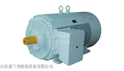 南京低压大功率三相异步电动机